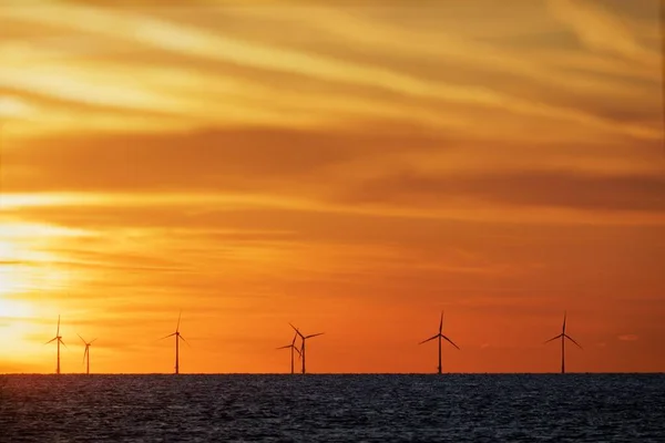 Vindkraftpark på havet vid solnedgången — Stockfoto