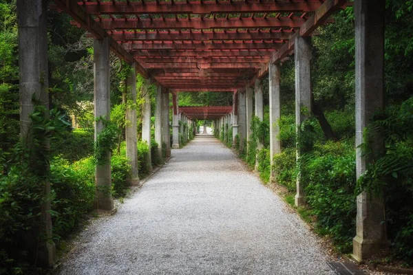 Chemin vert dans un magnifique angle de jardin — Photo