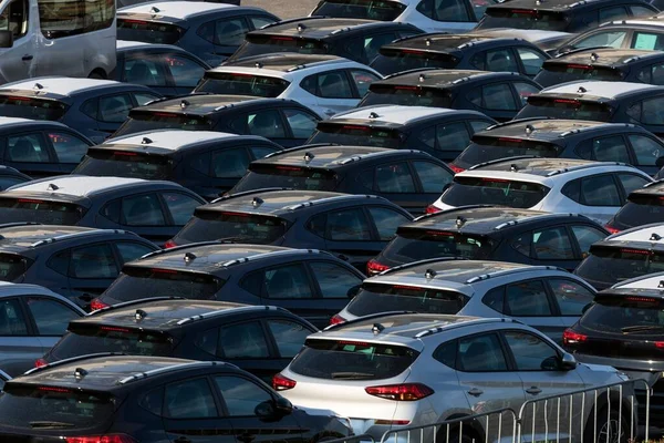 Viele Autos werden zum Handelsstandort transportiert — Stockfoto