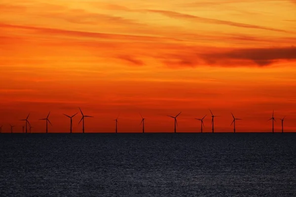 Vindkraftpark på havet vid solnedgången — Stockfoto