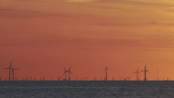 Ветряная ферма на берегу моря на закате — стоковое видео