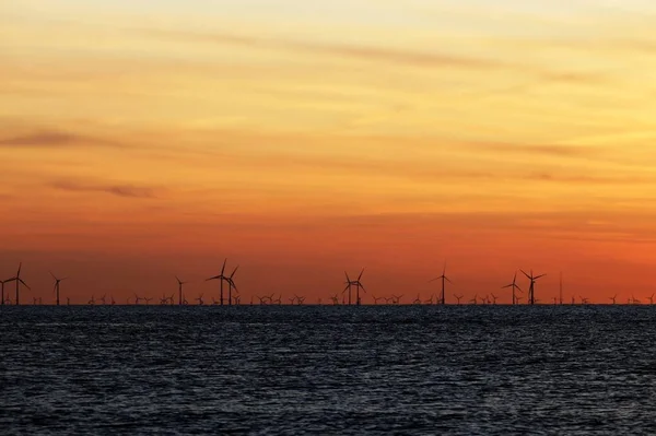 Windfarm on the sea at sunset — Stock Photo, Image
