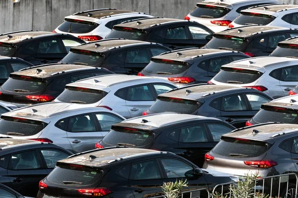Veel auto's worden vervoerd naar de handels locatie — Stockfoto