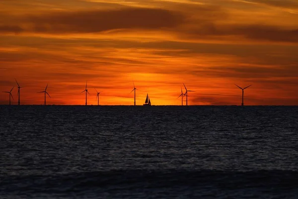 Parco eolico sul mare al tramonto — Foto Stock