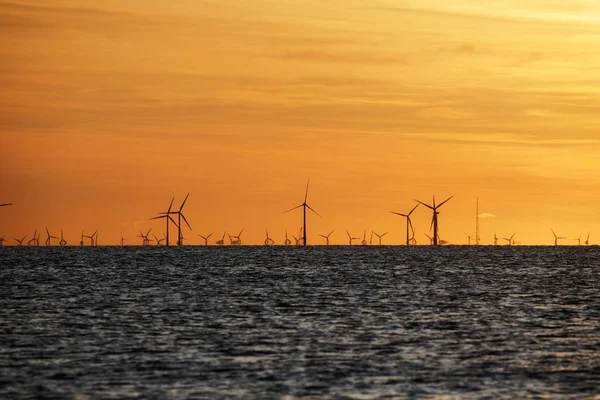 Parco eolico sul mare al tramonto — Foto Stock