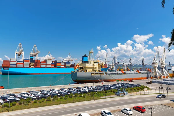 Большой промышленный порт с кранами и грузовыми контейнерами — стоковое фото