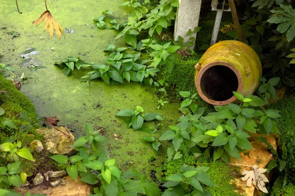Stroomkracht pot en water als groene achtergrond textuur — Stockfoto