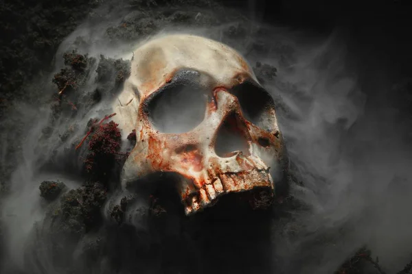 Skull of a dead man in on the ground — Stock Photo, Image