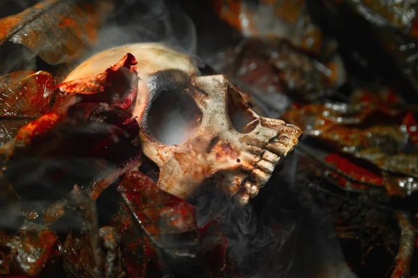 Skull of a dead man in on the ground — Stock Photo, Image