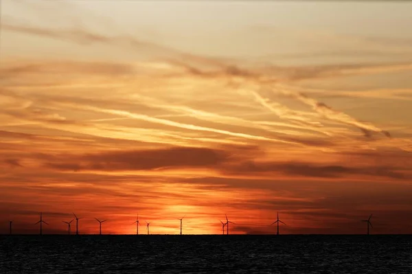 Parco eolico sul mare al tramonto — Foto Stock