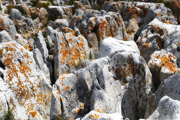 Superficie de piedra áspera como textura de fondo —  Fotos de Stock