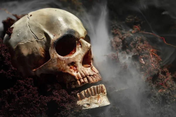 Skull of a dead man in on the ground — Stock Photo, Image