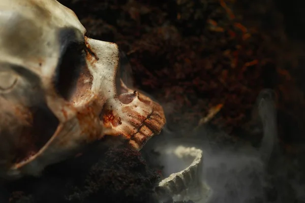 Lebka mrtvého muže na zemi. — Stock fotografie