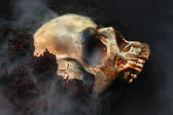 Skull of a dead man in on the ground — Stock Photo, Image