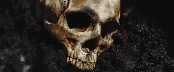 Crâne d'un mort par terre — Photo