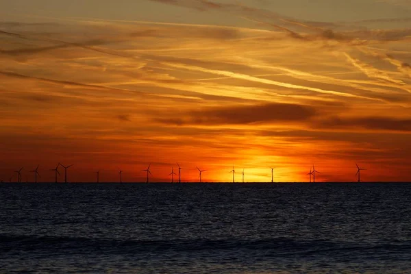 Parco eolico sul mare al tramonto — Foto Stock