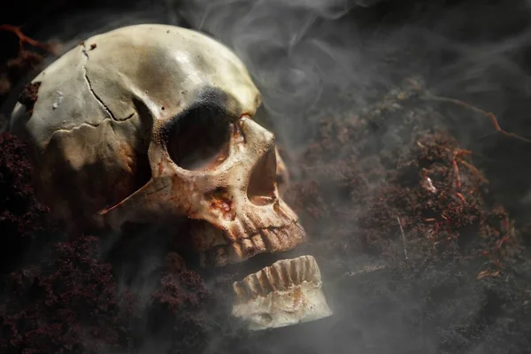 Skull of a dead man in on the ground — Stock Photo, Image