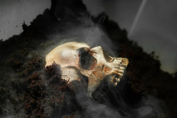 Skull of a dead man in on the ground — Stock Photo, Image