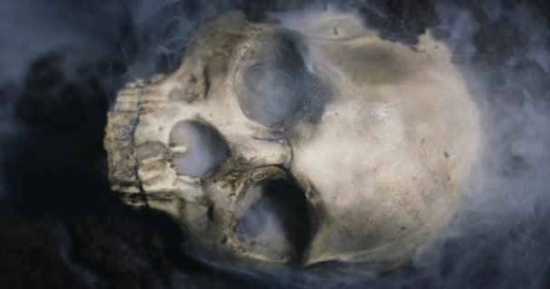 Lebka mrtvého muže na zemi. — Stock video