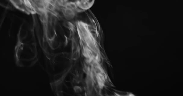 Fumaça branca subindo contra fundo escuro — Vídeo de Stock