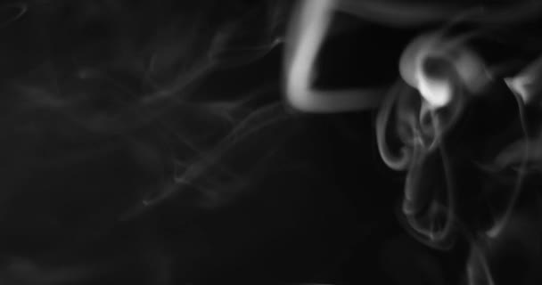Белый дым поднимается на темном фоне — стоковое видео