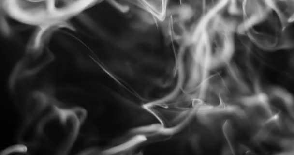 White smoke rising against dark background — Stock Video