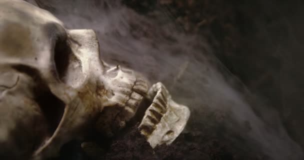 Череп человека на мокрой почве с дымом течет — стоковое видео