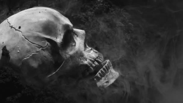 Crânio humano no solo molhado com fumaça fluindo — Vídeo de Stock