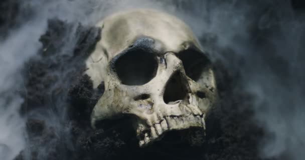 Calavera humana en el suelo húmedo con humo fluyendo — Vídeo de stock