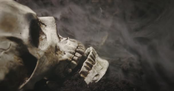 Calavera humana en el suelo húmedo con humo fluyendo — Vídeos de Stock