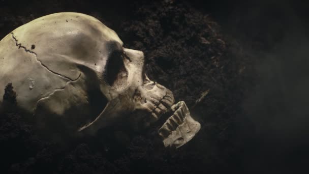 Ludzka czaszka na mokrej soild z dymem płynącym — Wideo stockowe