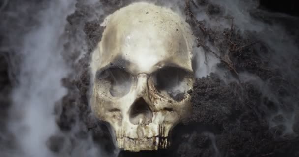 Mänsklig skalle på våt botten med rök som flödar — Stockvideo