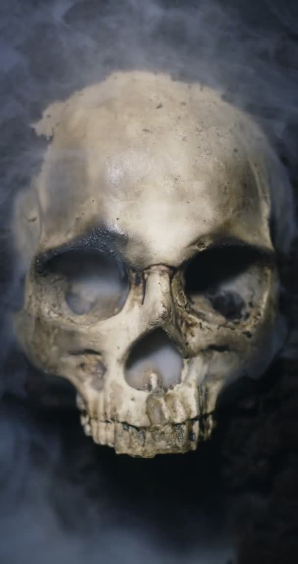 Calavera humana en el suelo húmedo con humo fluyendo — Vídeos de Stock