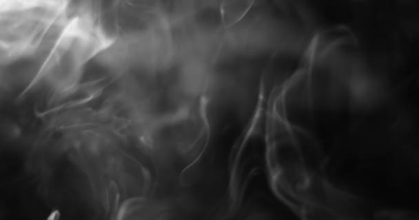 Realistic smoke against dark background UHD Footage — Stockvideo