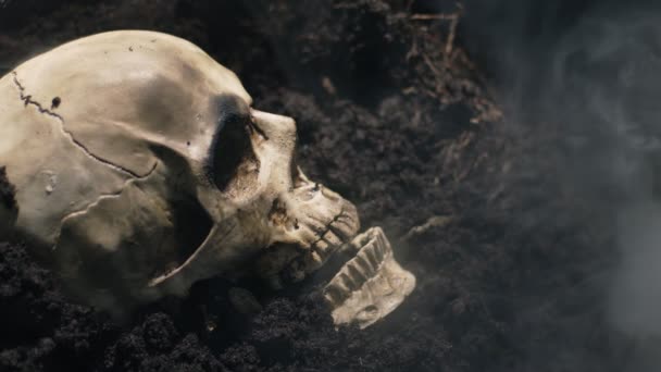 Ανθρώπινο κρανίο στο υγρό χώμα με ροή καπνού — Αρχείο Βίντεο