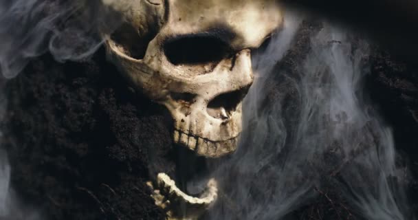 Crâne humain sur le sol humide avec de la fumée qui coule — Video