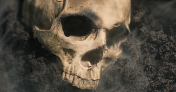 Crâne humain sur le sol humide avec de la fumée qui coule — Video