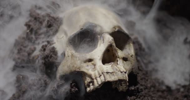 Calavera humana en el suelo húmedo con humo fluyendo — Vídeos de Stock