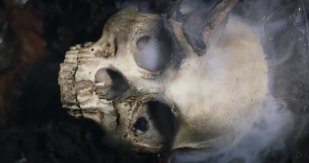 Calavera humana en el suelo húmedo con humo fluyendo — Vídeos de Stock