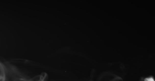 Ρεαλιστικός καπνός σε σκούρο φόντο Uhd Πλάνα — Αρχείο Βίντεο