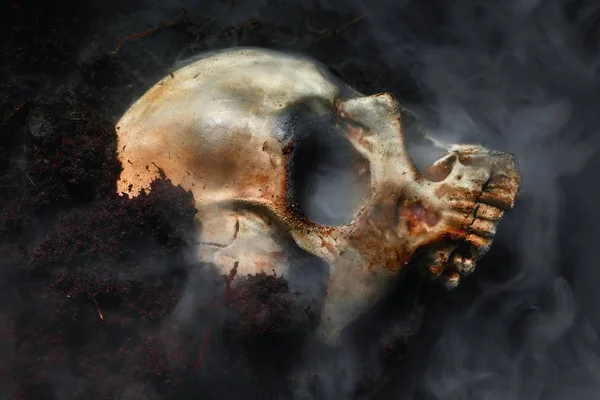 Skull of a dead man in on the ground — Stock Photo, Image