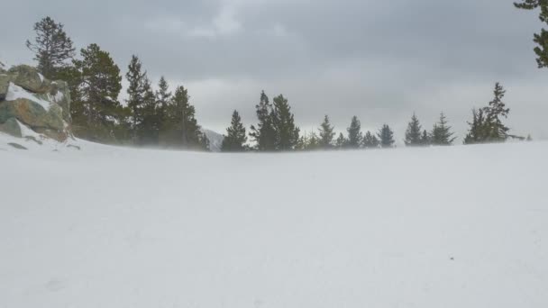 Snow blown by harsh wind on the slopes of the mountain — Stock video