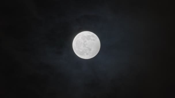 Pleine lune contre ciel nocturne nuageux — Video