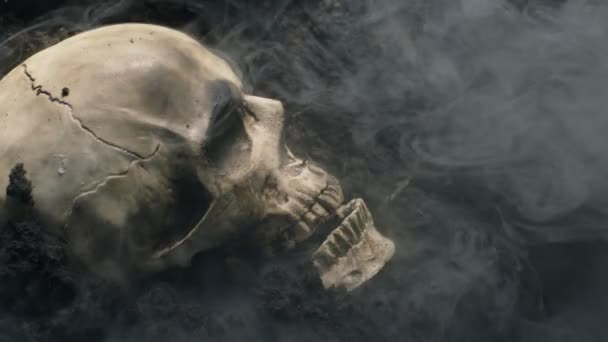 Calavera humana en el suelo húmedo con humo fluyendo — Vídeo de stock