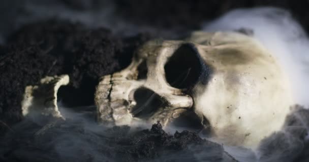 Lidská lebka na mokré půdě s kouřem tekoucím — Stock video