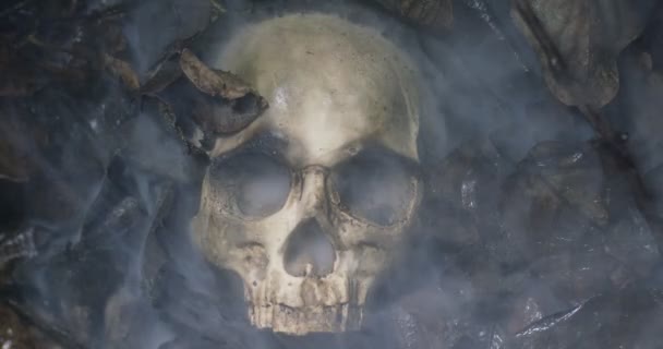 Lidská lebka na mokré půdě s kouřem tekoucím — Stock video