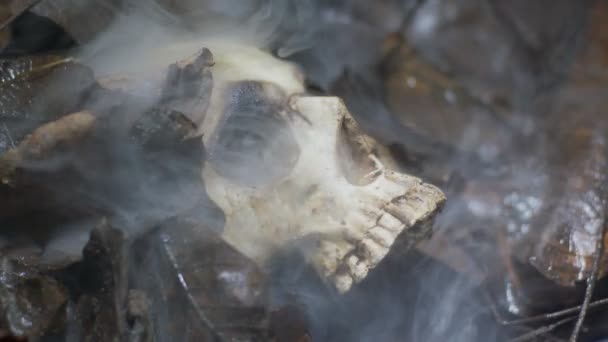 Ανθρώπινο κρανίο στο υγρό χώμα με ροή καπνού — Αρχείο Βίντεο