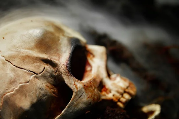 Skull of a dead man in on the ground — Stock Photo, Image