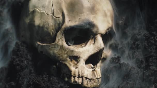 Crânio humano no solo molhado com fumaça fluindo — Vídeo de Stock