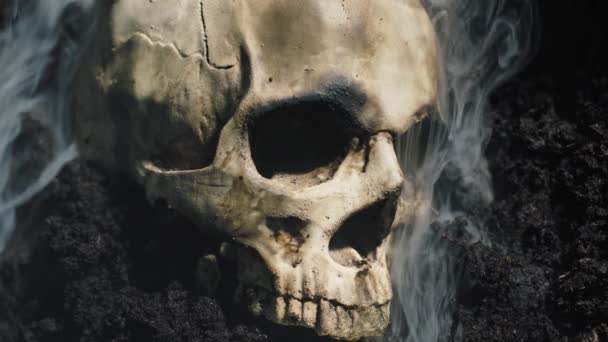 地面に死んだ男の頭蓋骨 — ストック動画